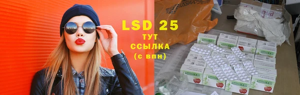ECSTASY Богданович