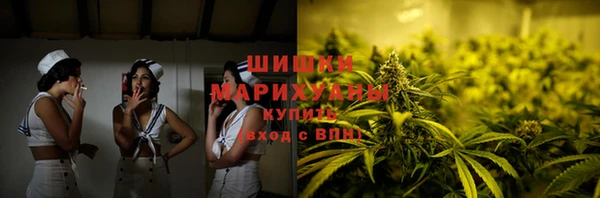 ECSTASY Богданович