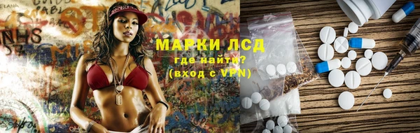 ECSTASY Богданович